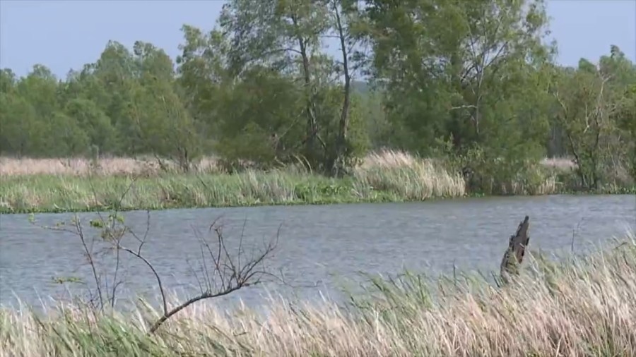 Aviation community await preliminary report in seaplane crash