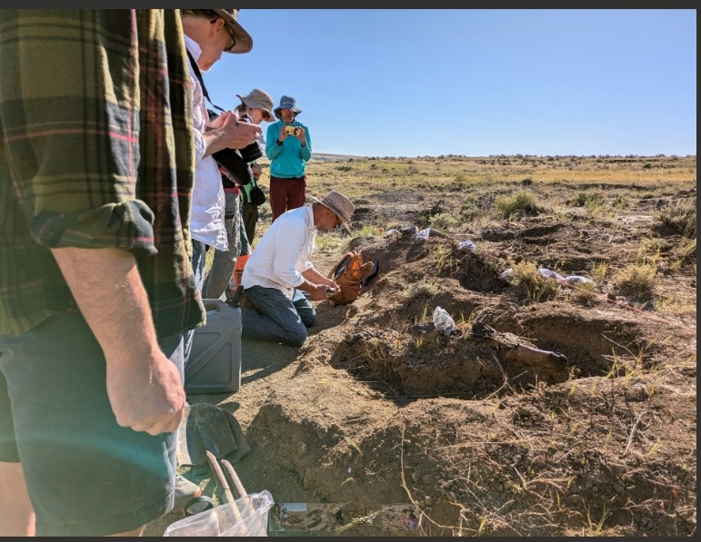 Dig this: Triceratops skeleton is on its way to The Putnam Museum, Davenport!