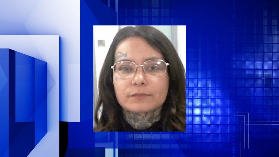 Muscatine woman charged in graffiti incidents also facing hate crime, harassment charges