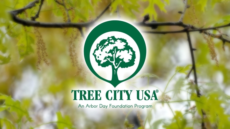 Muscatine earns Tree City USA recognition for 33rd year in a row
