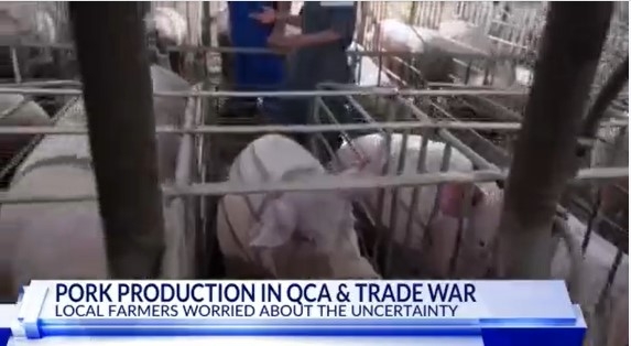 Farmers, legislators respond to QC pork production and trade war