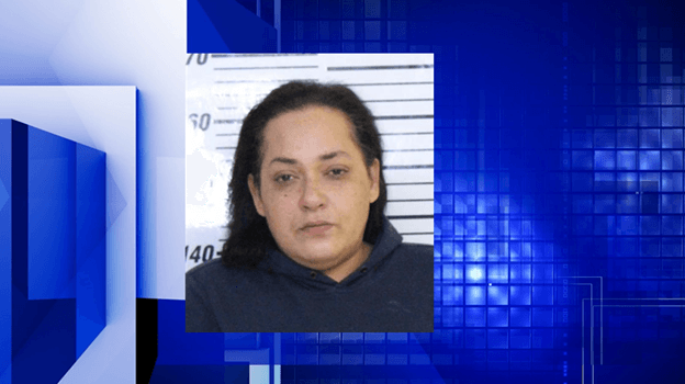 Davenport woman arrested after thefts at home improvement stores in Iowa