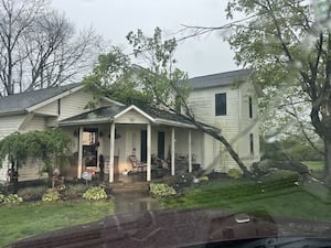 Trees crash into homes, knock down power lines as severe storms move through region