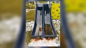 Can you help? Police investigating after playground vandalized with motor oil