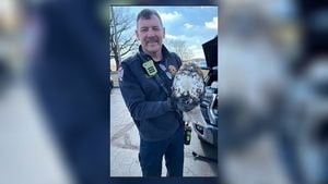Falcon rescued from truck grill by local firefighters