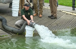 Lake fills with hybrid fish in time for summer fishing at Ohio's oldest State Park