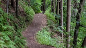 Mother dies from fall while on a hike with her kids