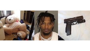 Guns found in large teddy bear after deputies execute search warrant, man charged