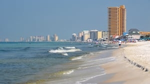 Popular beach spot ‘can no longer be a Spring Break town,' police chief says