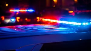 Deputy shoots, kills 2 dogs after being charged at