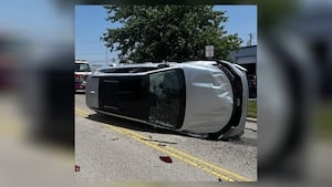 ‘Keep the windows up;' Cicada blamed for rollover crash