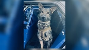 Police K9 celebrates third birthday