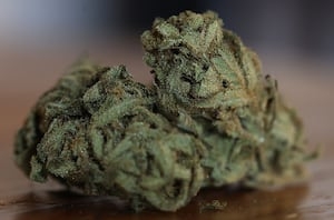 City extends temporary ban on all marijuana sales