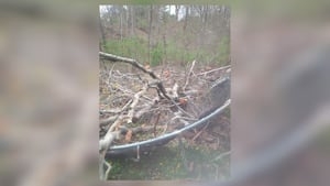 ‘She's a fighter;' Girl seriously injured after being crushed by tree during Easter celebration