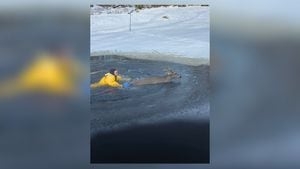 Firefighters rescue deer from icy water in Ohio