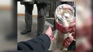 ‘Ruff day?' Dog gets head stuck in jar going for last Milk Bone