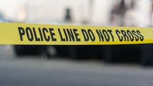 Deputy shoots, kills dog after it bites partner in face during chase