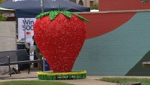 Strawberry Festival prepares for thousands of visitors with rain in the forecast
