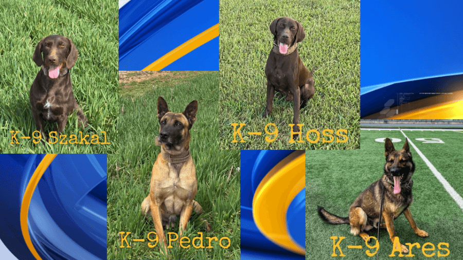 4 Limestone County K9 deputies to get donation of body armor