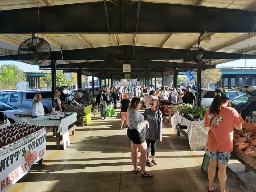 Morgan County-Decatur Farmers Market grand reopening a success