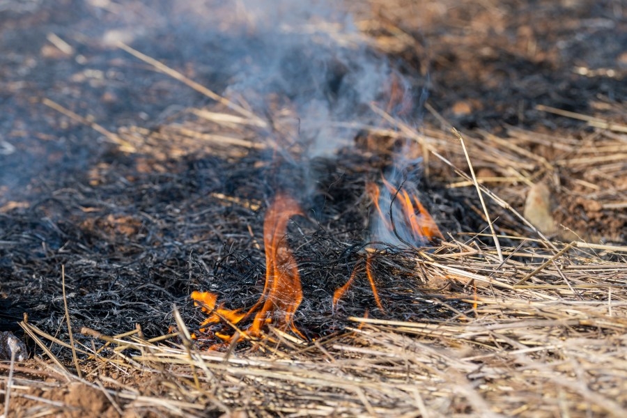 Alabama Forestry discouraging outdoor burning due to weather conditions
