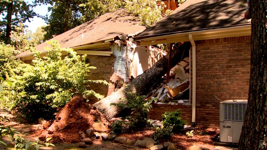 ‘It's a miracle': Madison couple recalls when tree narrowly falls on them during storm