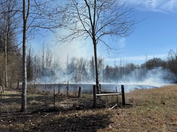 MVFR, Alabama Forestry Commission asking residents to stop burning during Wildfire Advisory