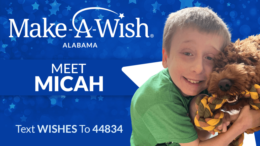 Make-A-Wish: Micah's story