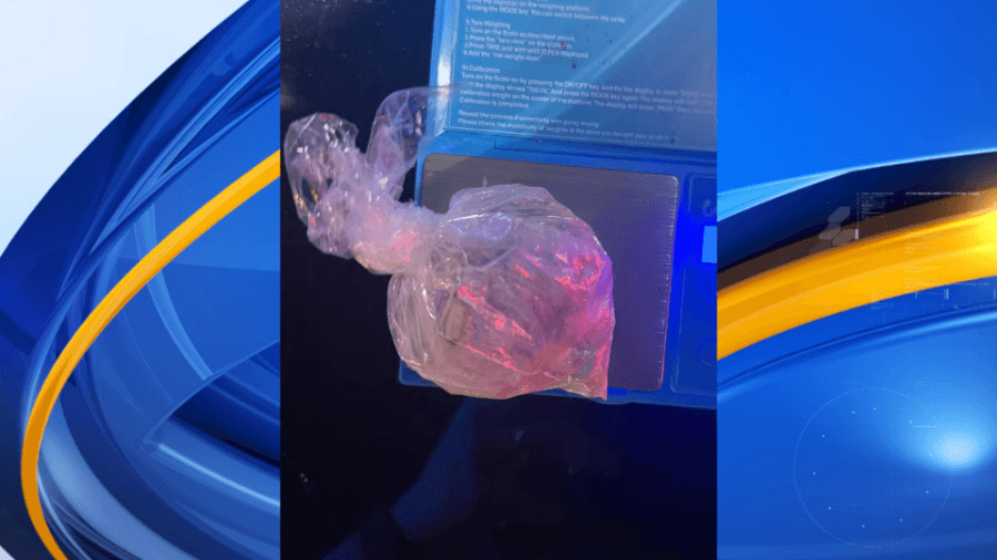 Pair charged after Priceville Police find Ecstasy pills, other drugs during traffic stop