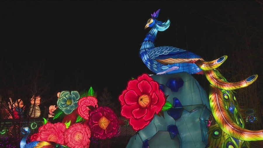 Wild Lights at Blank Park Zoo returns this weekend