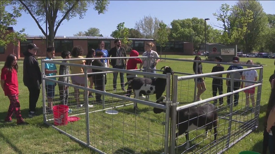 Scholastic Spotlight follow-up: Crestview GOAT Party