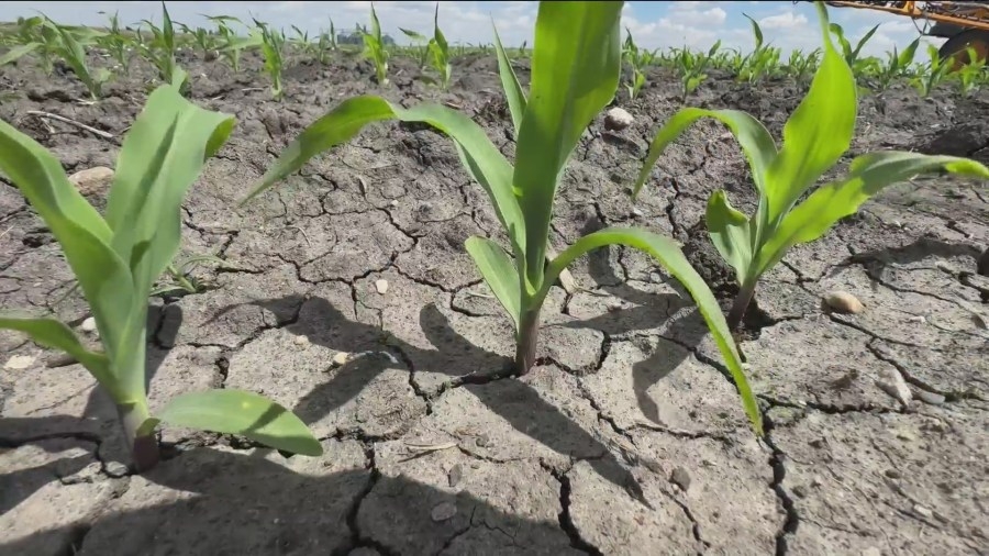 Iowa crops planted ahead of schedule thanks to dry weather