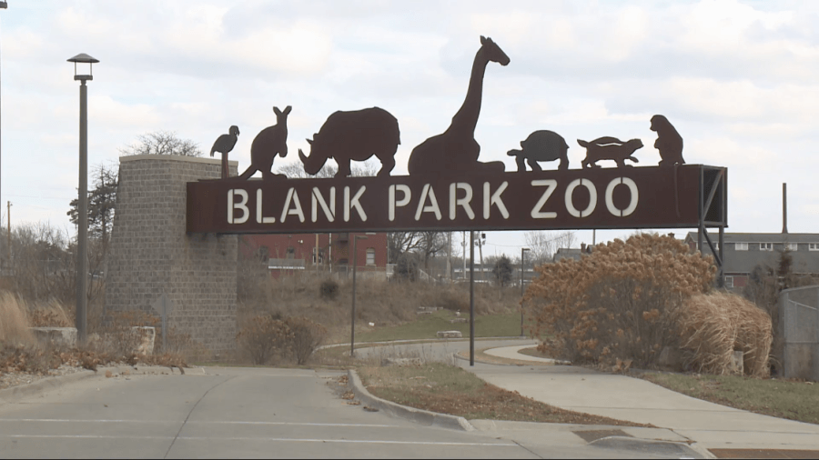 Who at the Blank Park Zoo is expecting twins again?