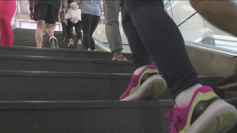Fight for Air Climb raises over $200,000