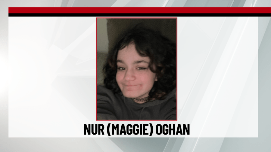 Ankeny police seek help to find missing teen