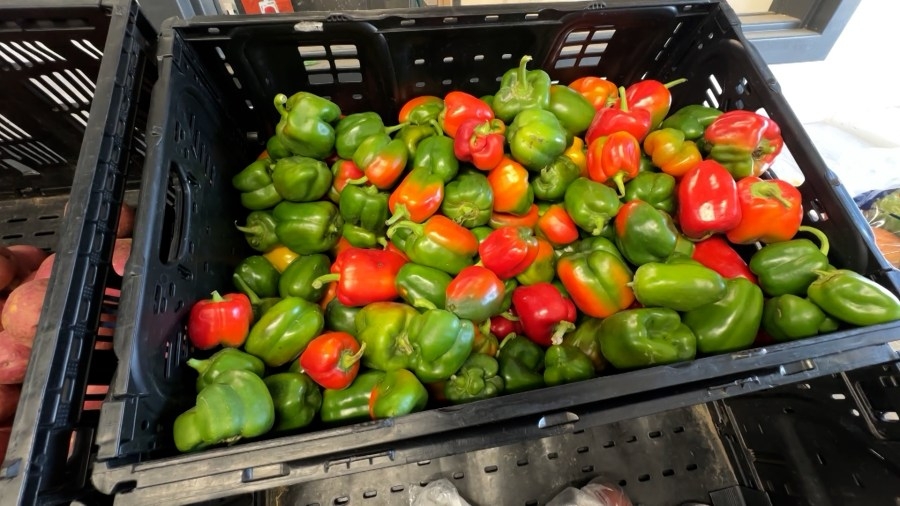 Reynolds requests waiver to make certain foods ineligible under SNAP