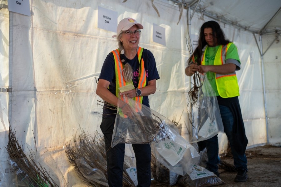 Tiny Trees giveaway program applications now open
