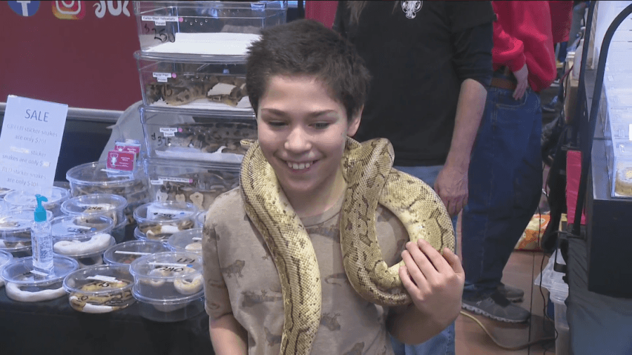 Families explore thousands of reptiles at Iowa Reptile Show