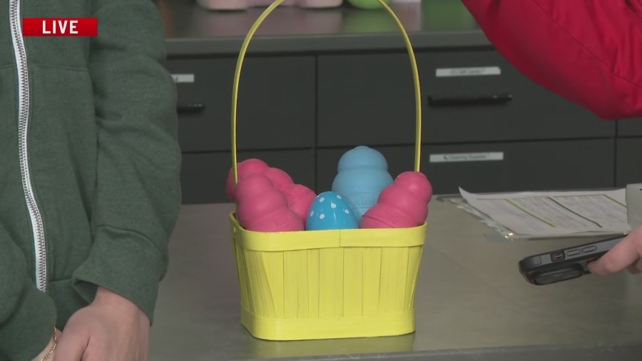 Third annual Doggy Easter Egg Hunt underway at Paws and Pints