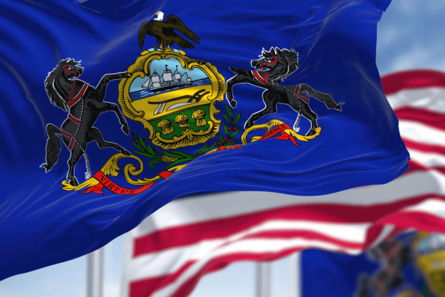 Lancaster County man allegedly burned American, Commonwealth flags