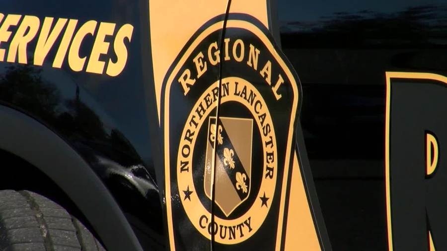 Drone, K9 unit called in for car theft at Manheim Auto Auction