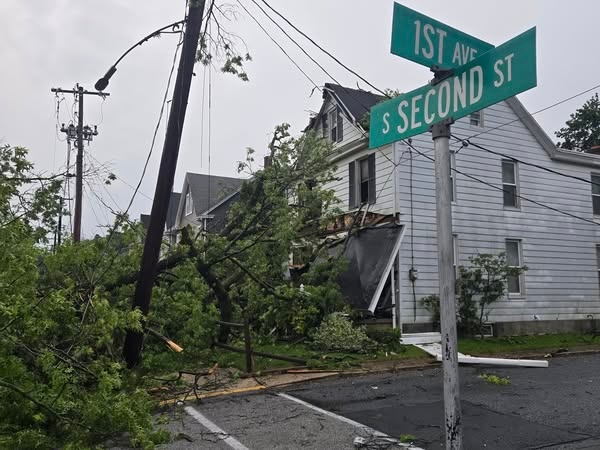 Tree crashes into house in Cumberland County; road closing