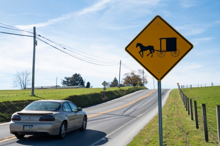 PSP: Woman dies two weeks after horse and buggy crash