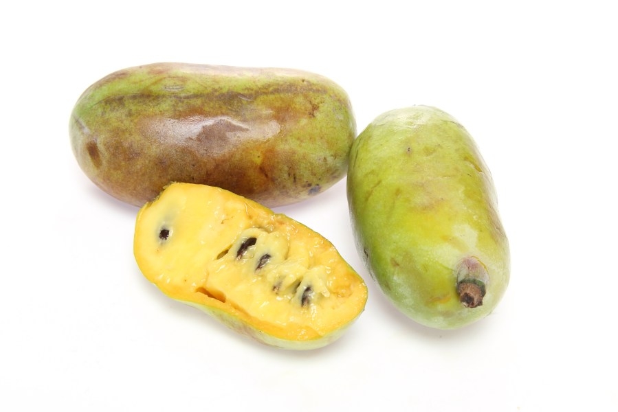 What's a pawpaw? Local festival celebrates Pennsylvania's only tropical fruit