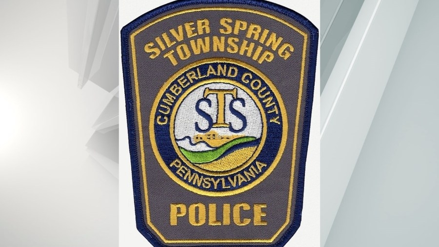 Police: Two steers loose in Cumberland County