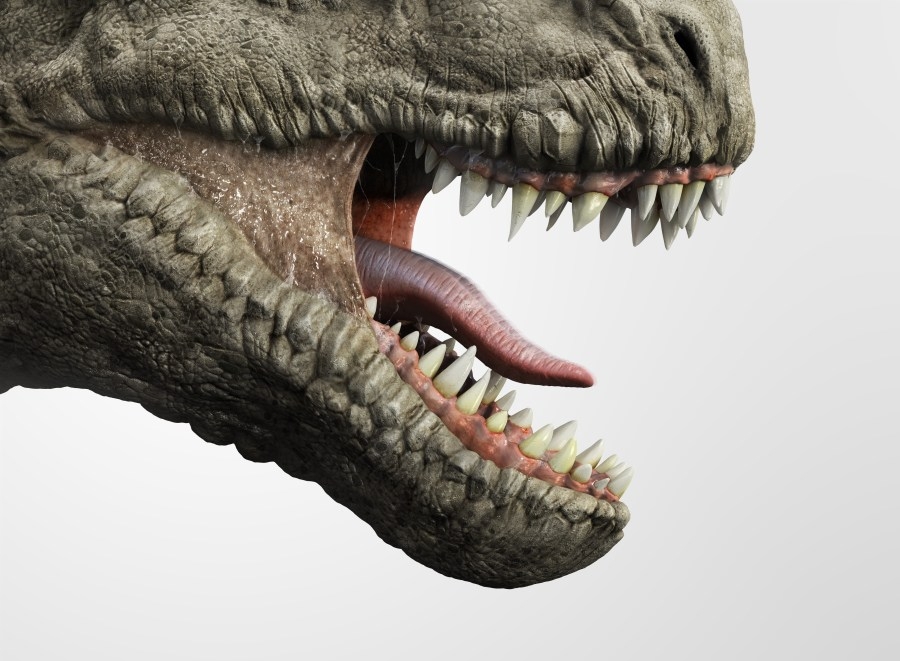 Dinosaurs didn't roar like the movies; Here's how they really sounded