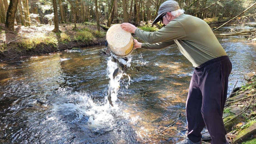 Pennsylvania waterways being stocked ahead of trout season's opening day