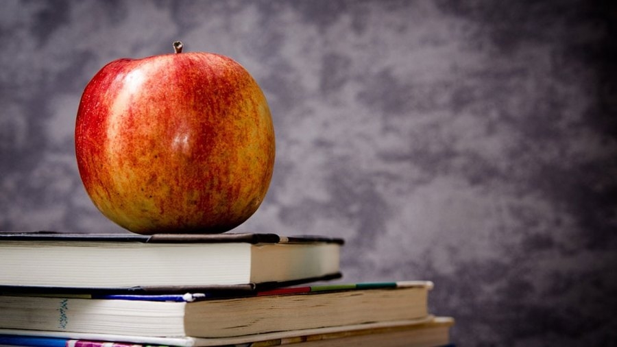 $1 billion in school mental health grants won't be renewed; PA organizations are worried