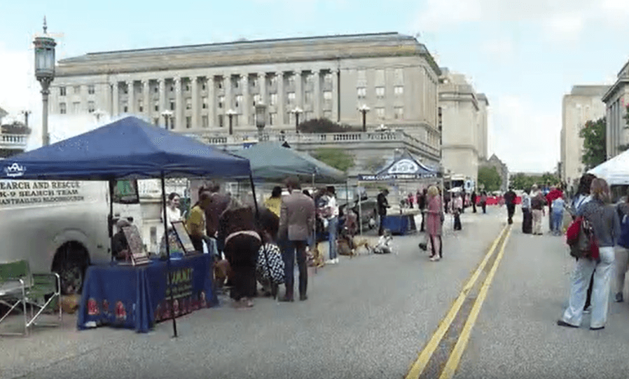 Work animals takeover Pennsylvania Capitol