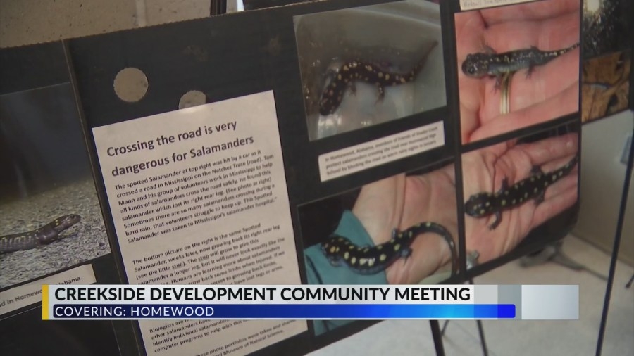 How one organization wants to work with developers to protect the environment in Homewood